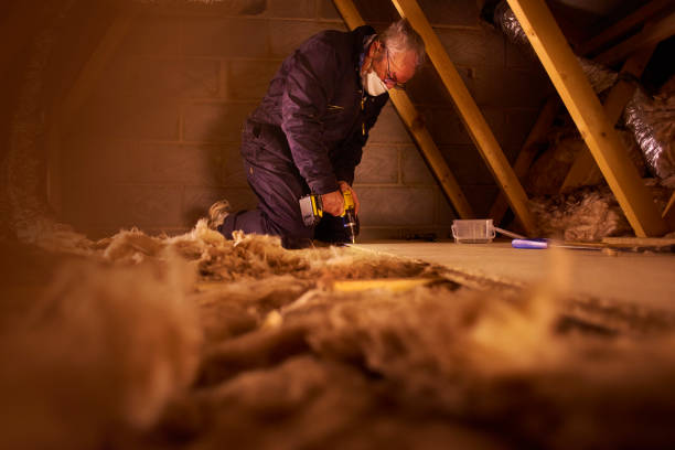 Best Crawl Space Insulation  in Escobares, TX